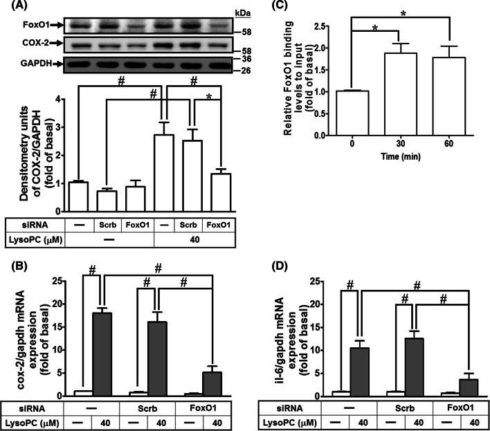 Fig. 4