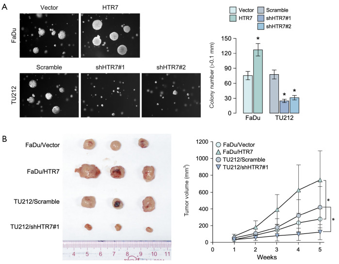 graphic file with name atm-13-05-64-fig2.jpg