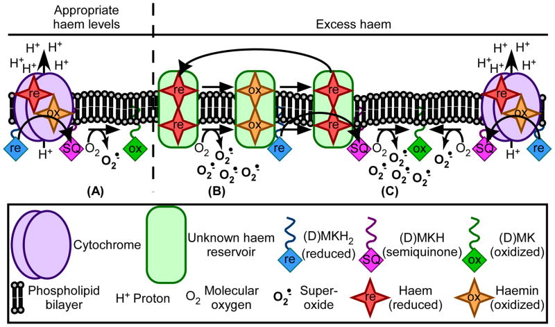 Fig. 10