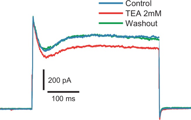 Figure 4—figure supplement 2.