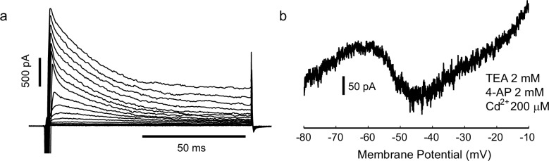 Figure 4—figure supplement 3.