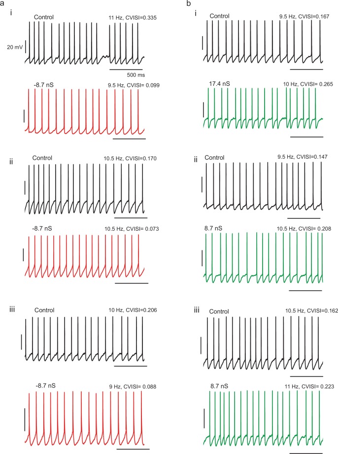 Figure 5—figure supplement 2.