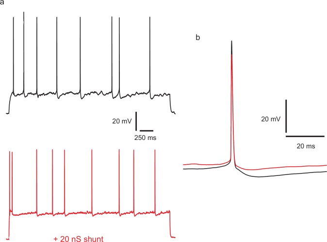 Figure 5—figure supplement 1.