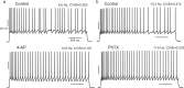Figure 5—figure supplement 3.