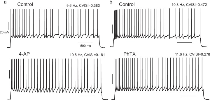 Figure 5—figure supplement 3.