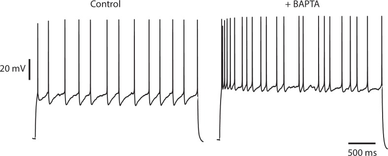 Figure 4—figure supplement 1.