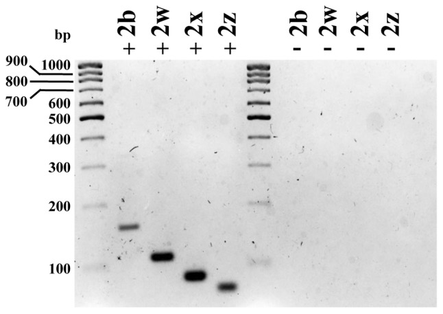 Figure 5.