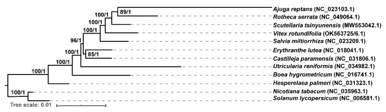 Figure 5