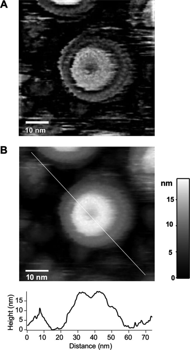 FIG 5