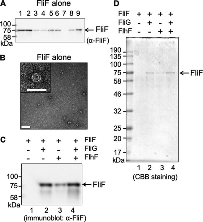 FIG 2