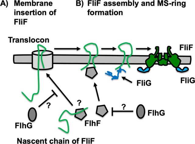 FIG 6