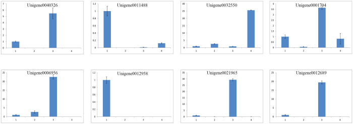 Figure 7