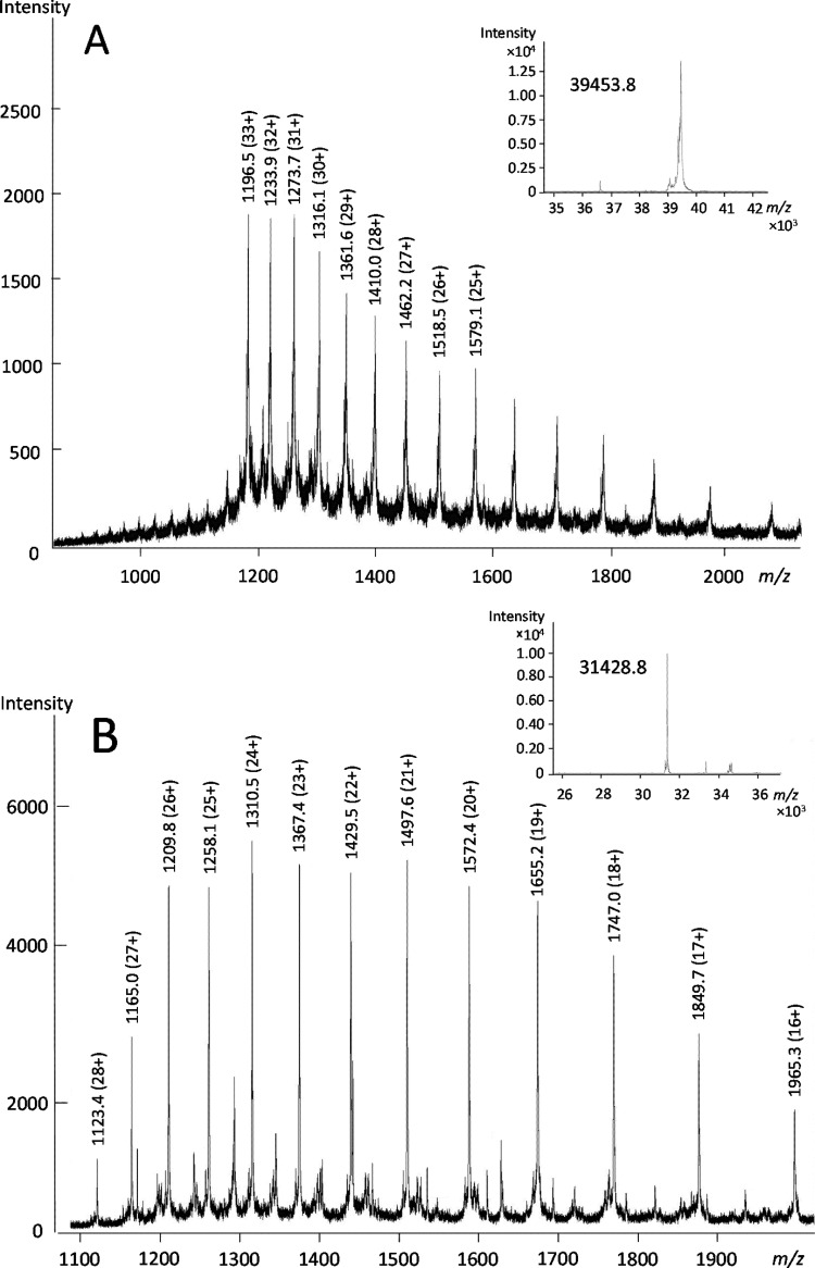 Fig 5