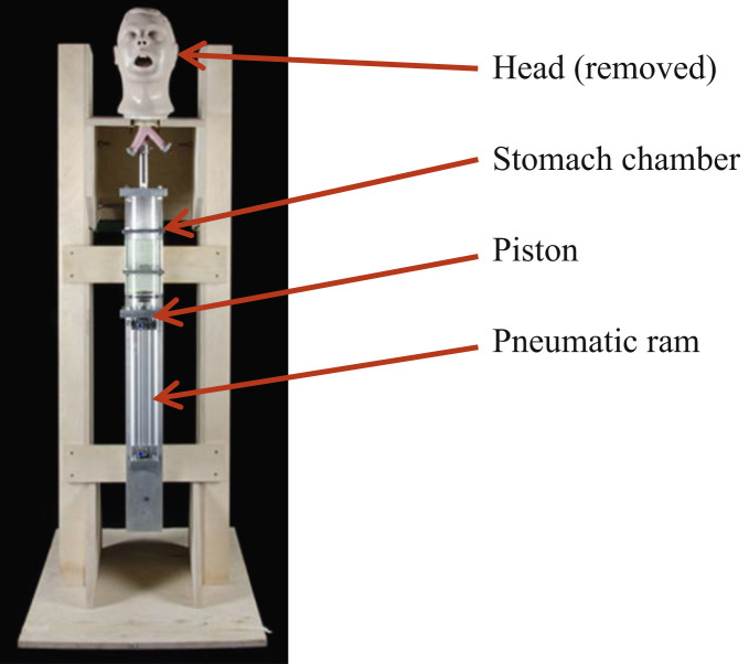 Figure 1