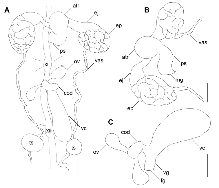 Figure 3.