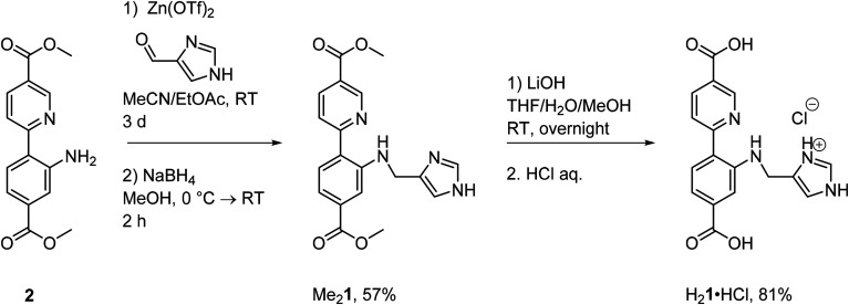 Scheme 1