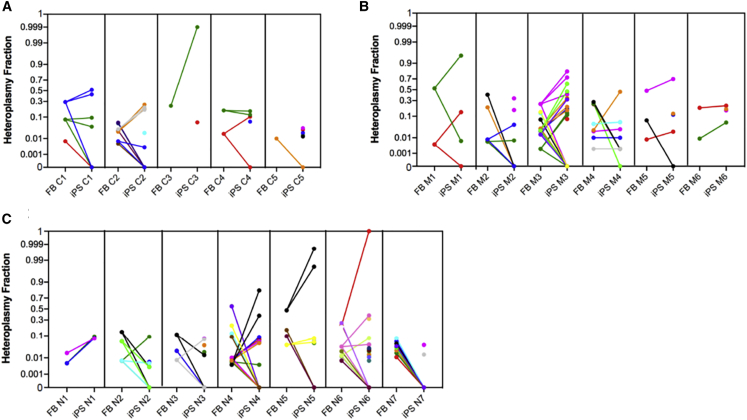 Figure 2