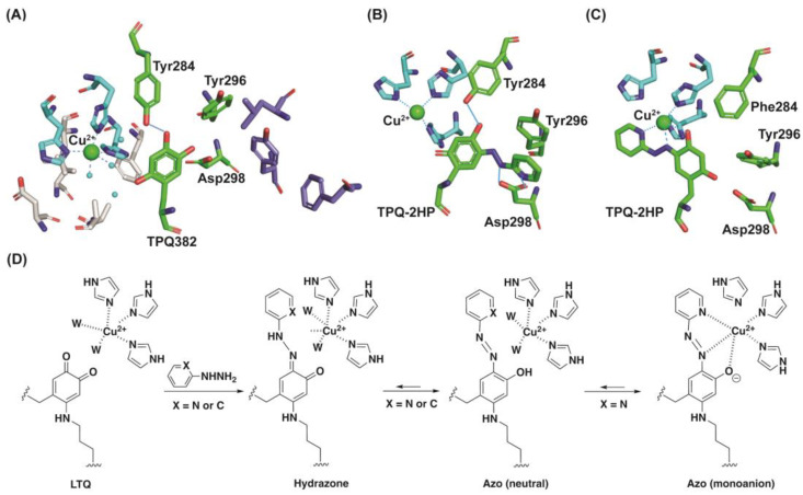 Figure 10