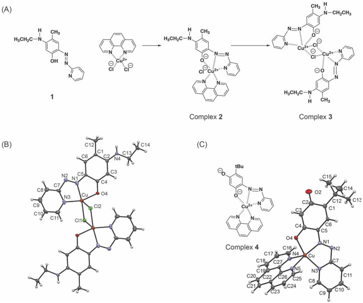 Figure 5