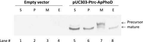 Fig. 5.