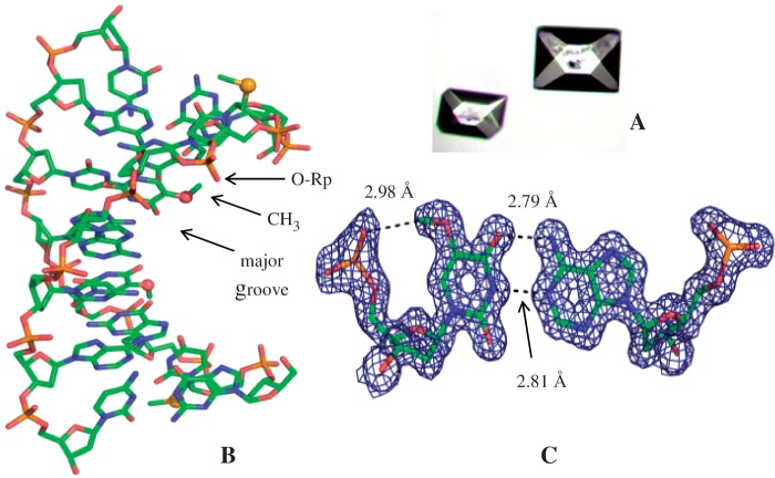 Figure 2.