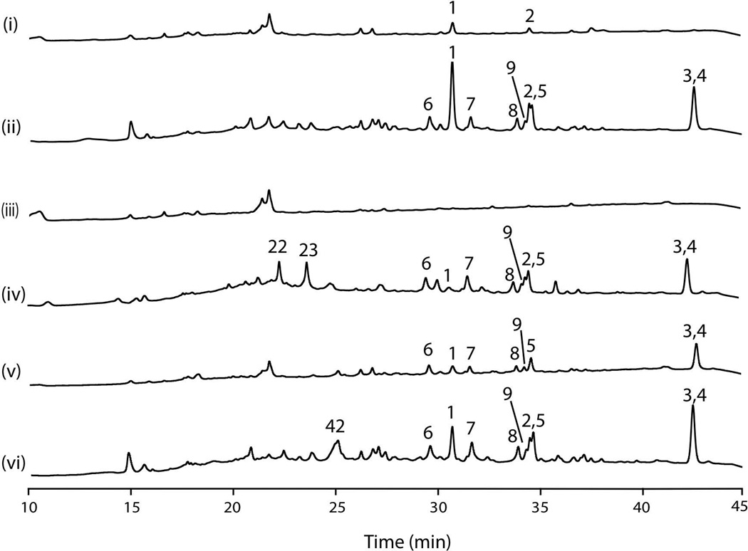 Fig. 7