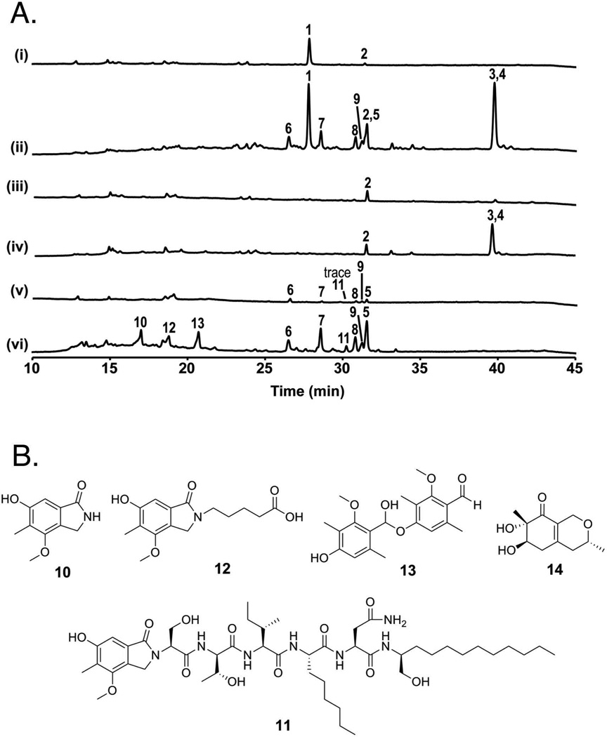 Fig. 5