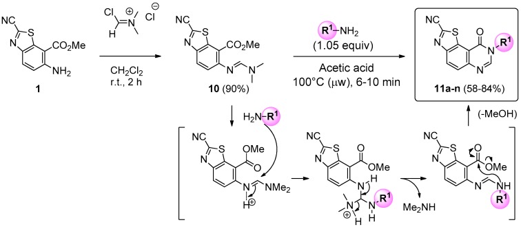 Scheme 3