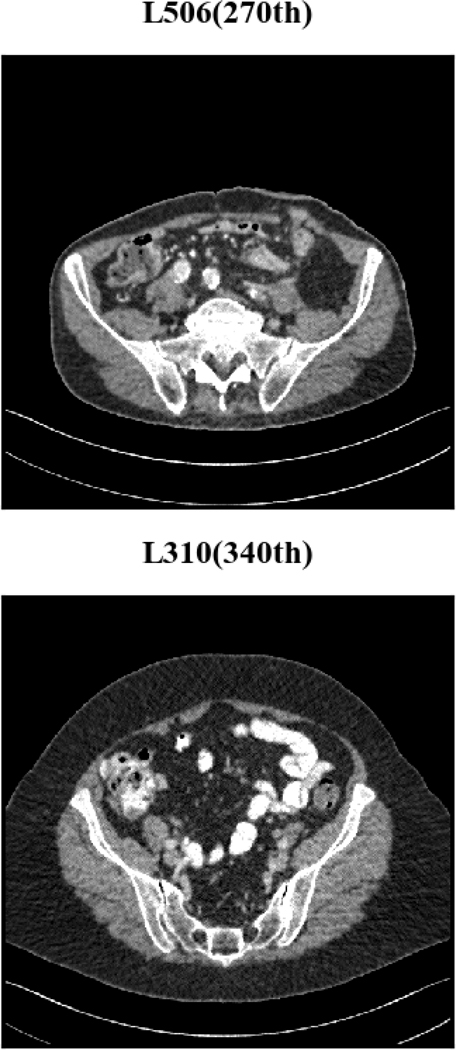 Fig. 18.