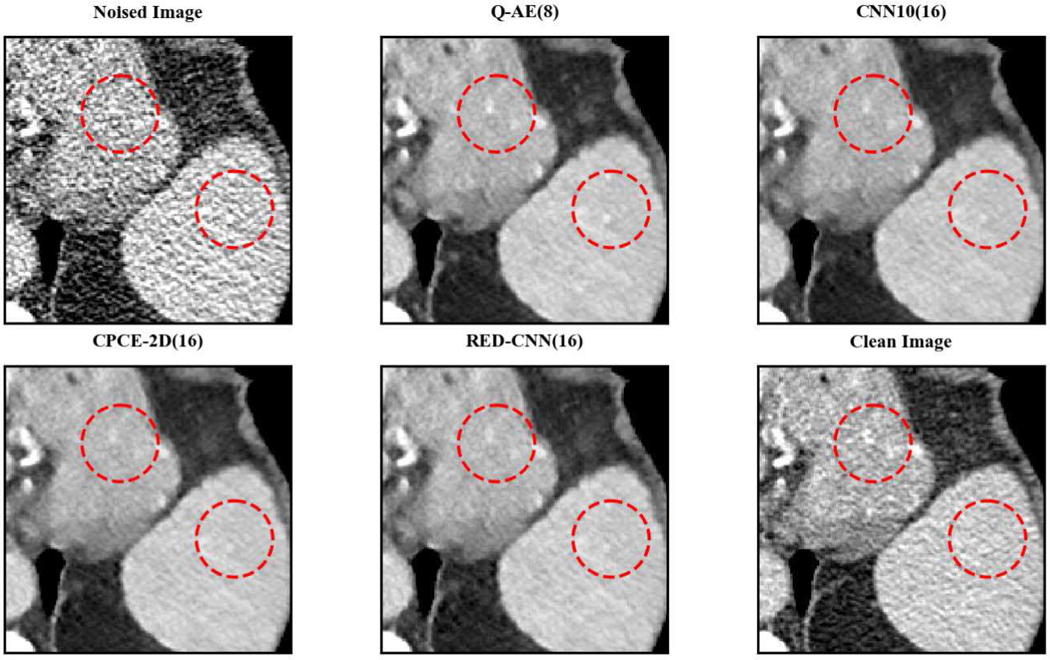 Fig. 10.