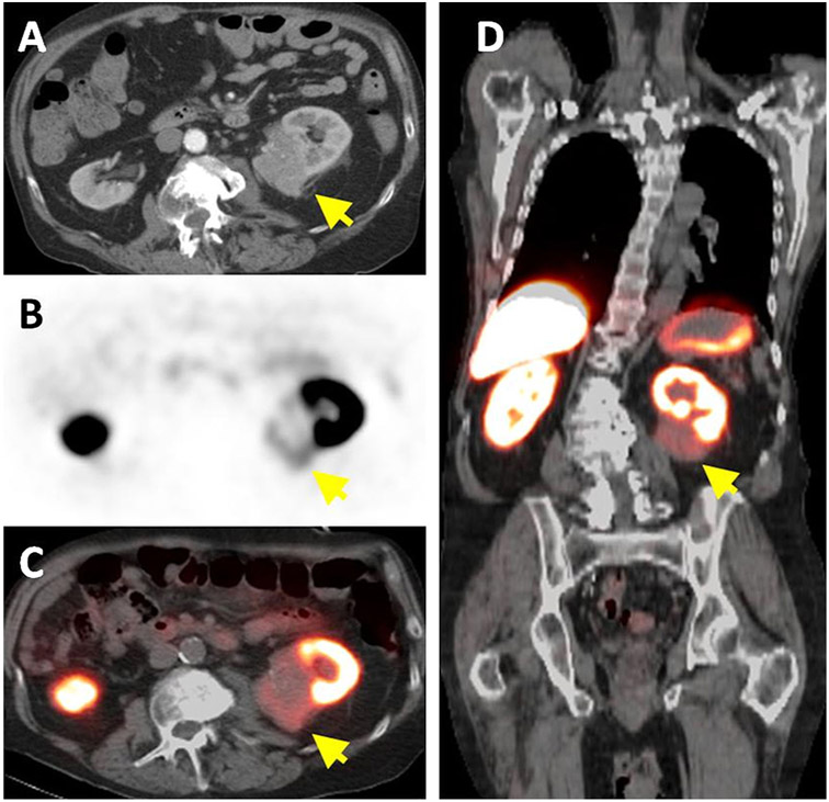 Fig. 1.