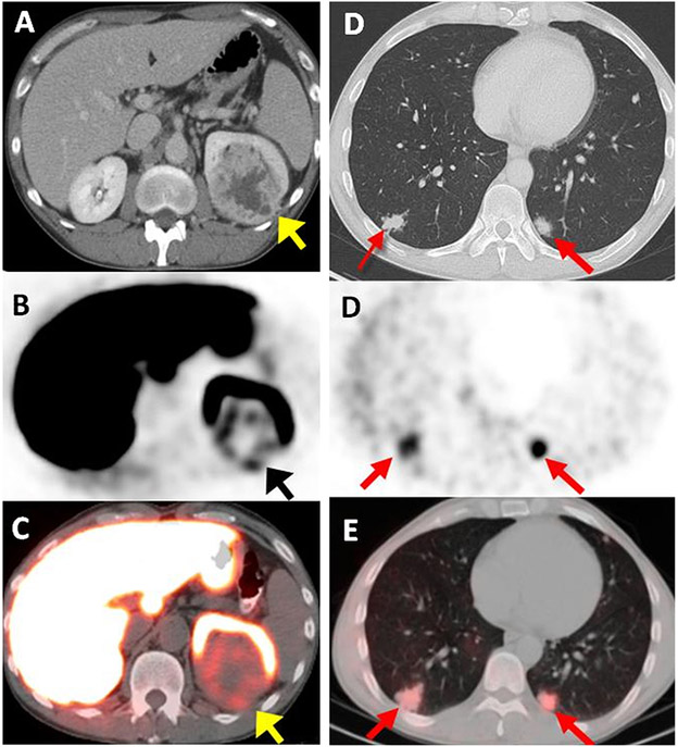 Fig. 2.