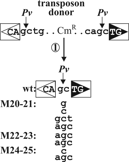 FIG. 4.