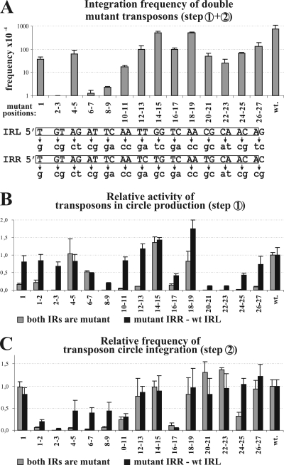 FIG. 2.