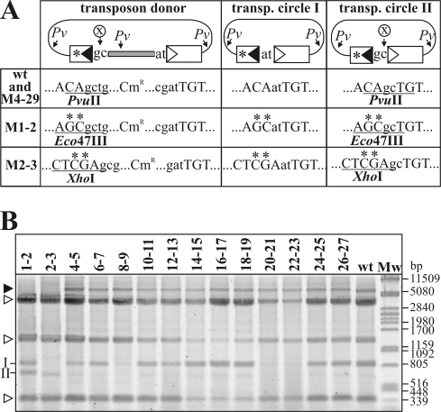 FIG. 6.