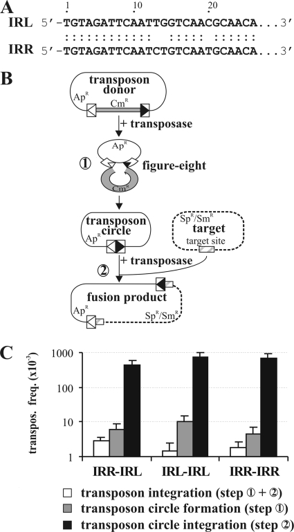 FIG. 1.