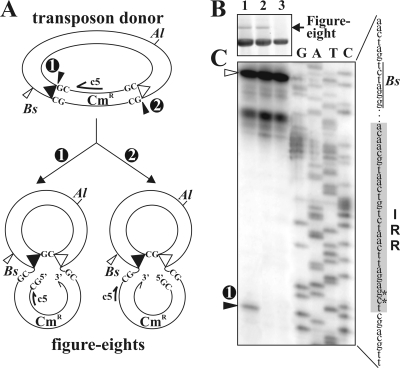 FIG. 7.