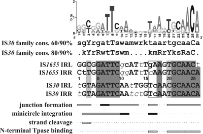 FIG. 8.