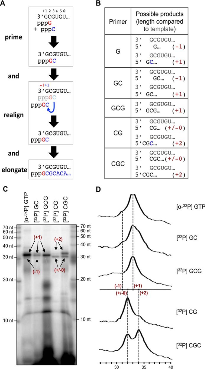 Figure 5.