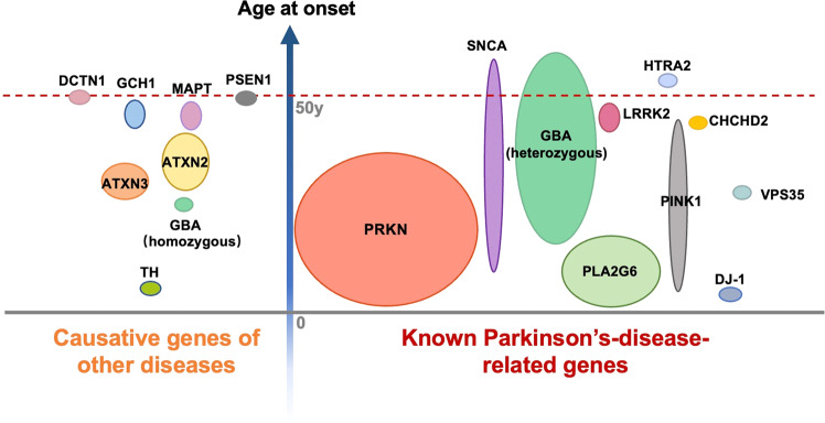 Fig. 2