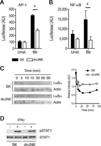 FIG. 2.