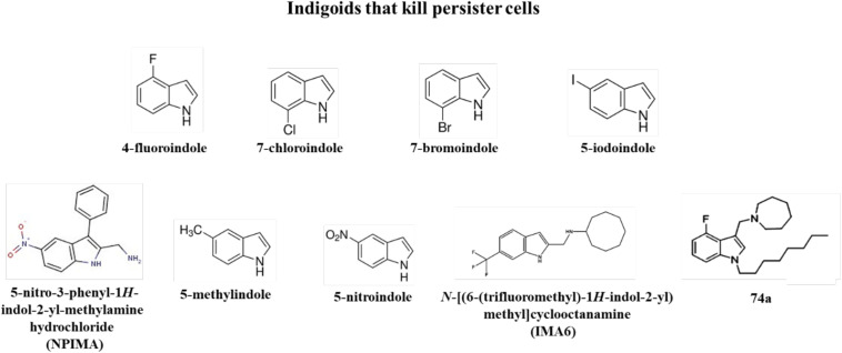 FIGURE 3