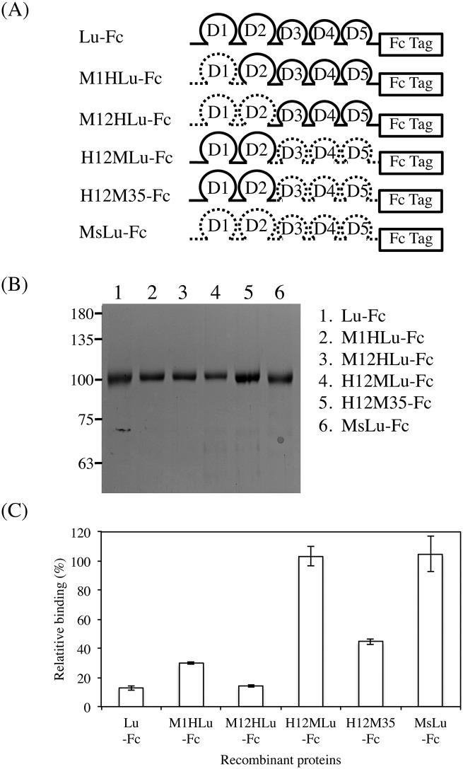 Fig 8