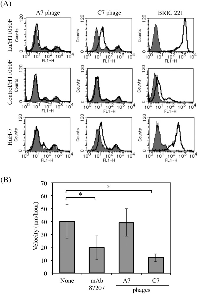 Fig 5