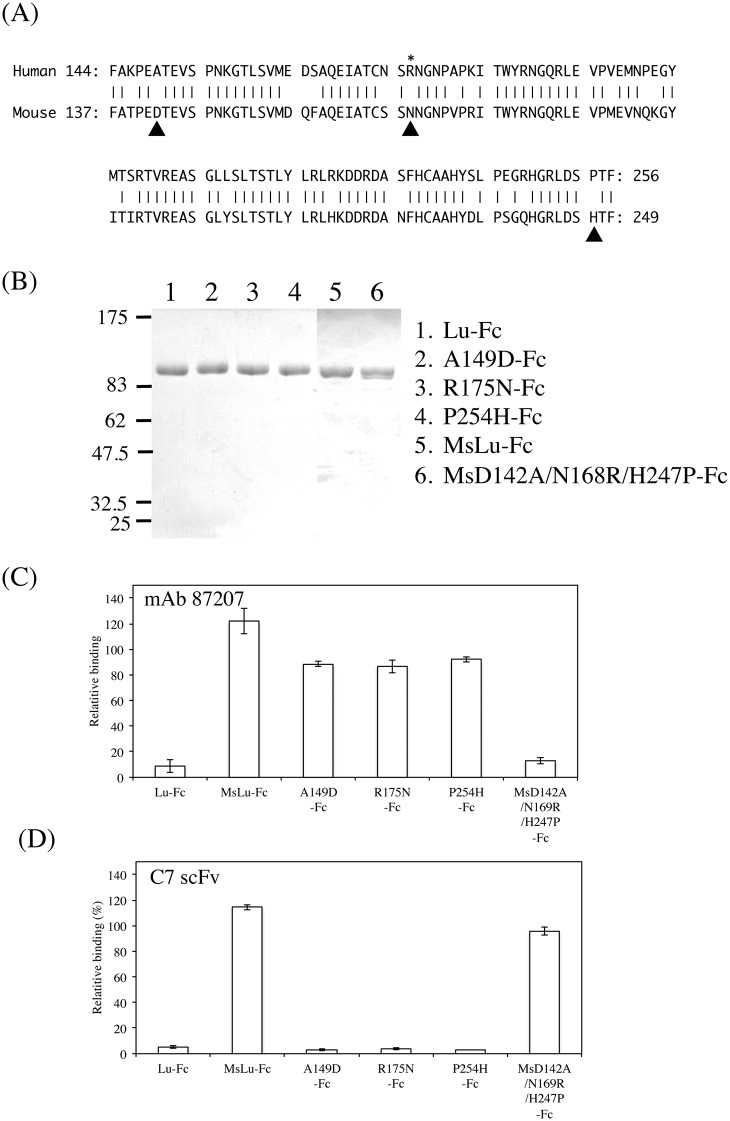 Fig 7