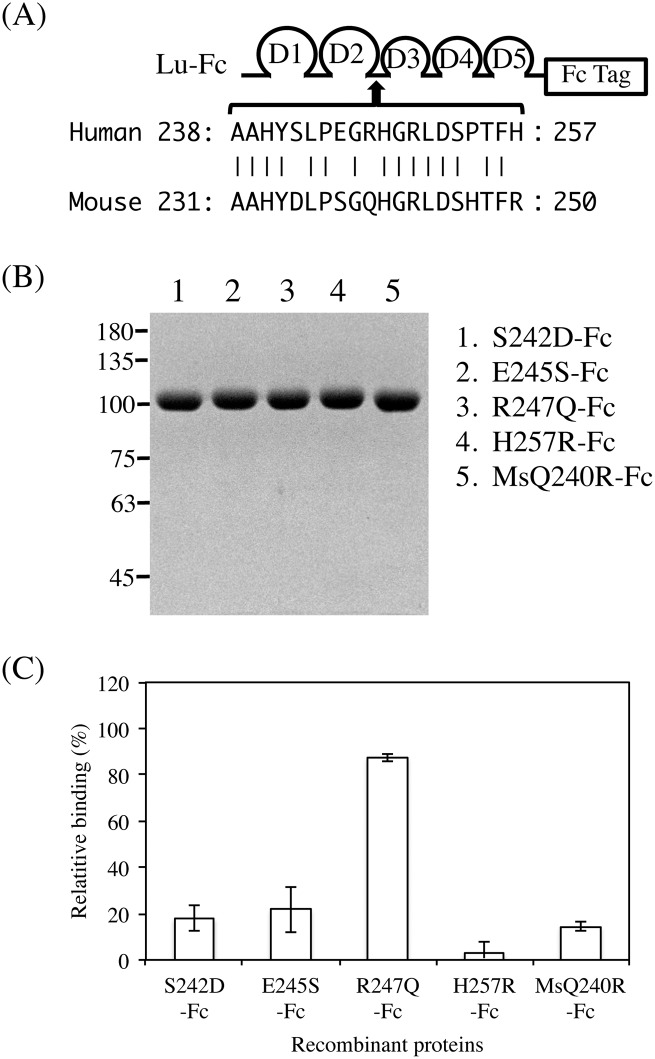 Fig 9