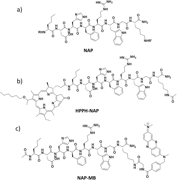 Figure 2