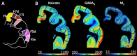 Fig 10