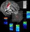 Image, graphical abstract