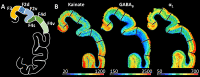 Fig 9